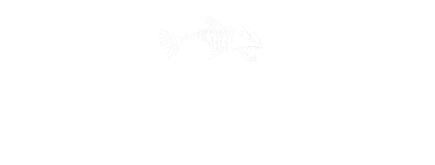 Bone Dry Desiccant Air Dryers