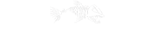 TFG Dryers Logo